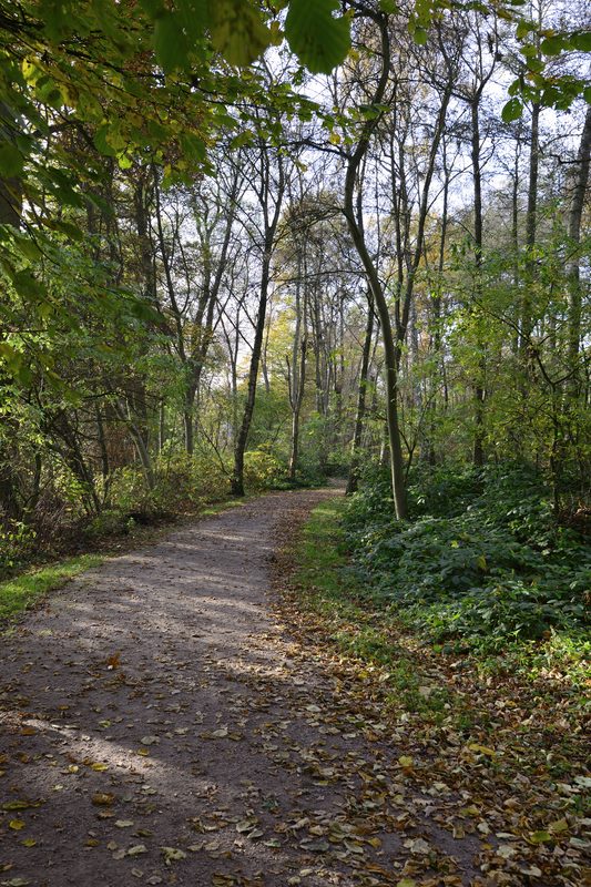Wanderweg im Herbst