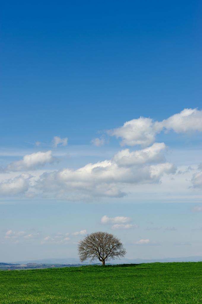 Warten auf den Frühling