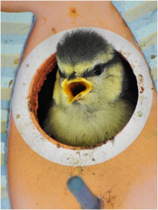 Was guckst du