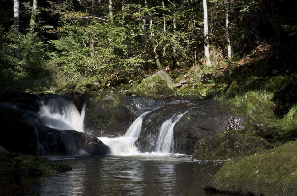 Wasser in Bewegung