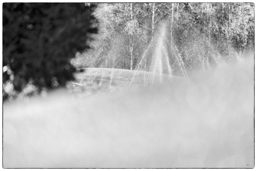 Wasser PZ14900