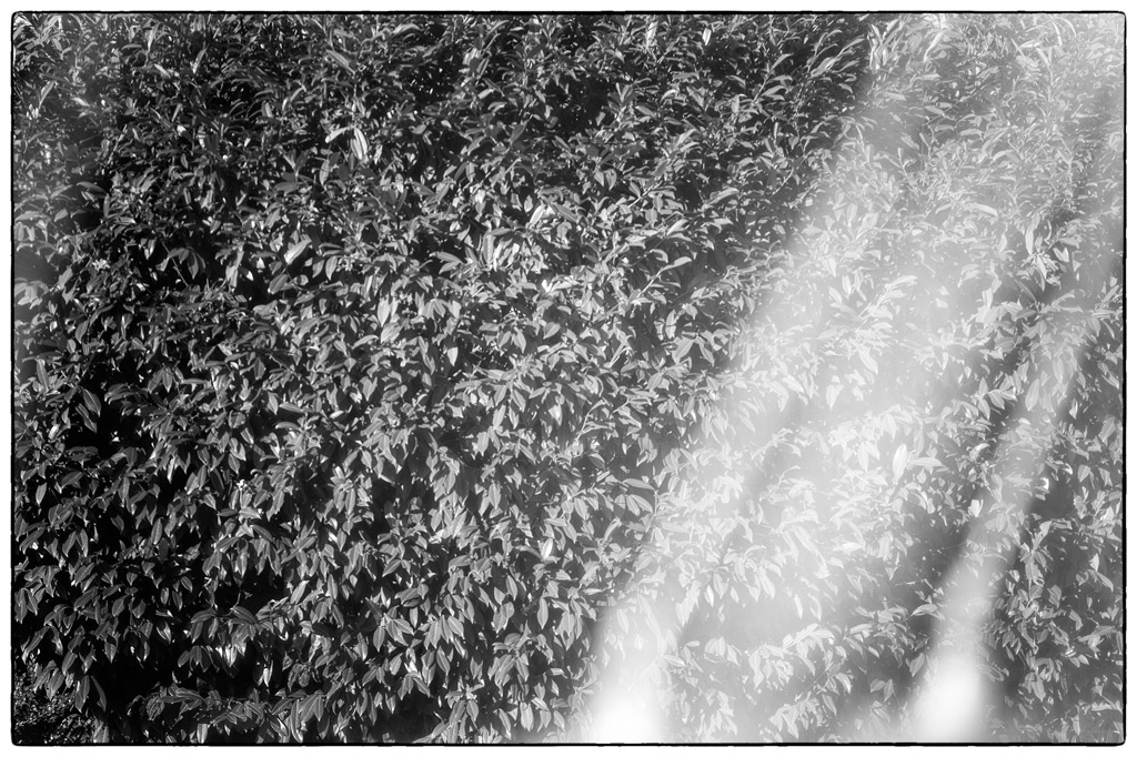 Wasser PZ14910