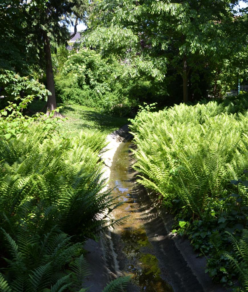 Wasser Stadtpark