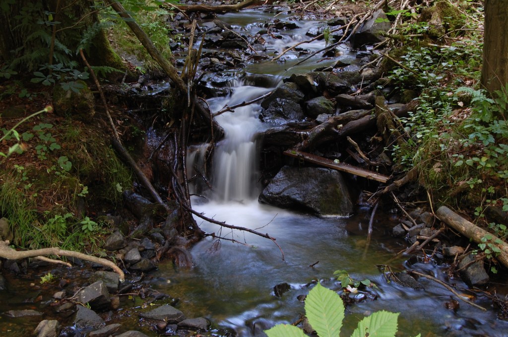 Wasser