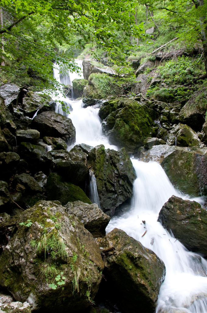 wasser010