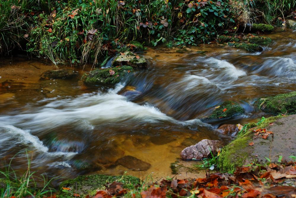 Wasser1