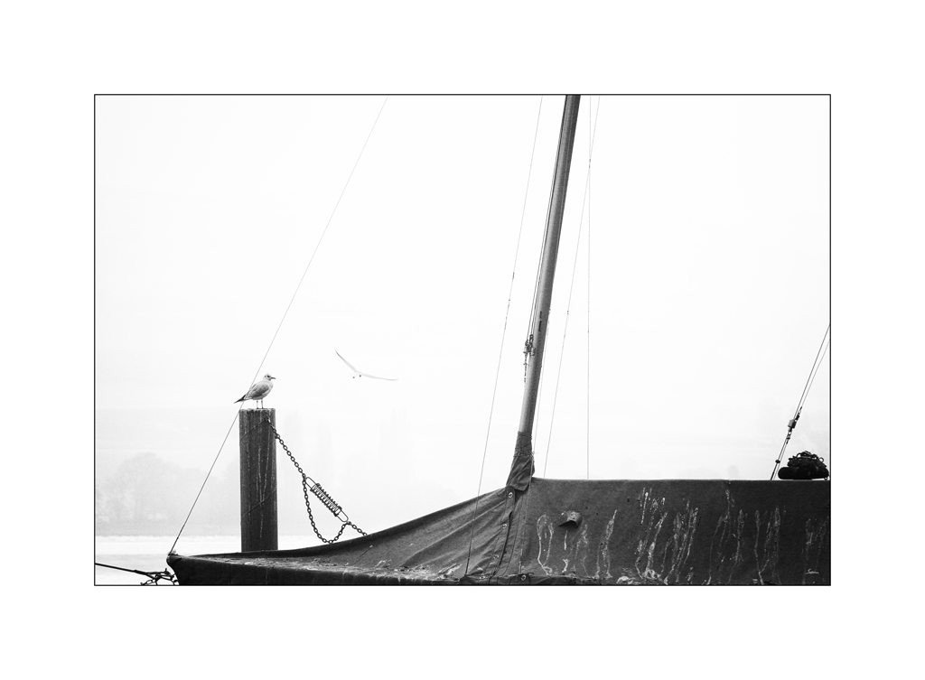 WasserDSC 6505