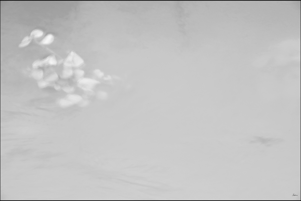 WasserDSC 8509
