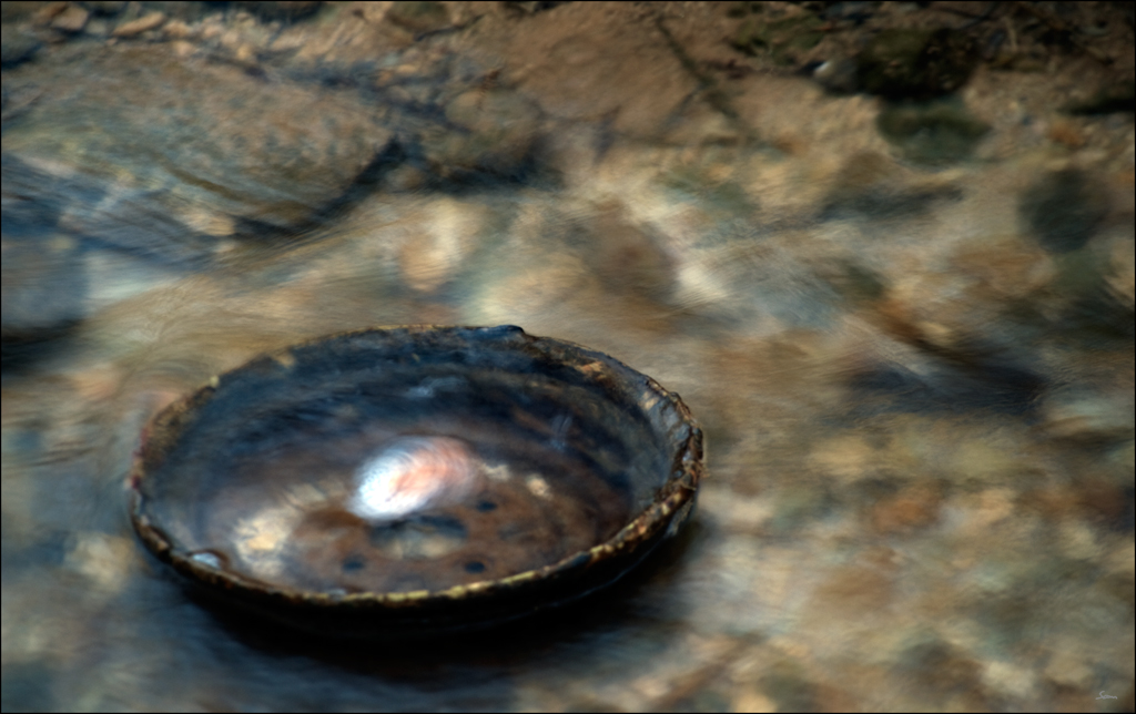 WasserDSC 8997