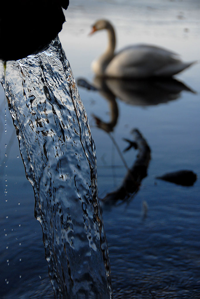 wasserspiel