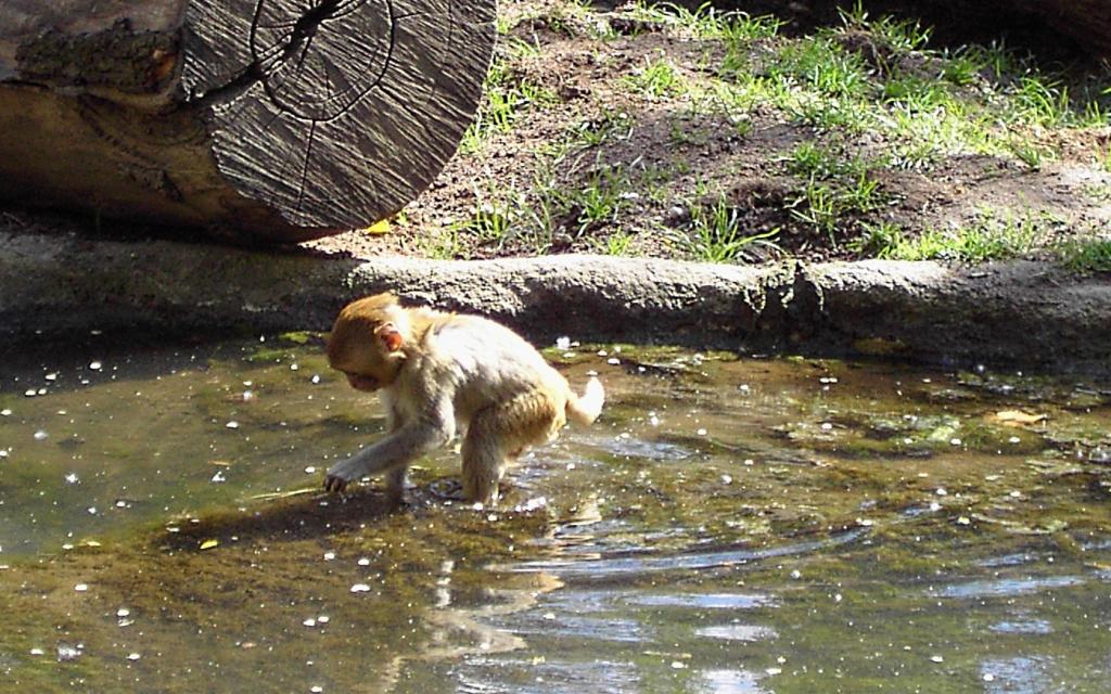 Wasserspiel