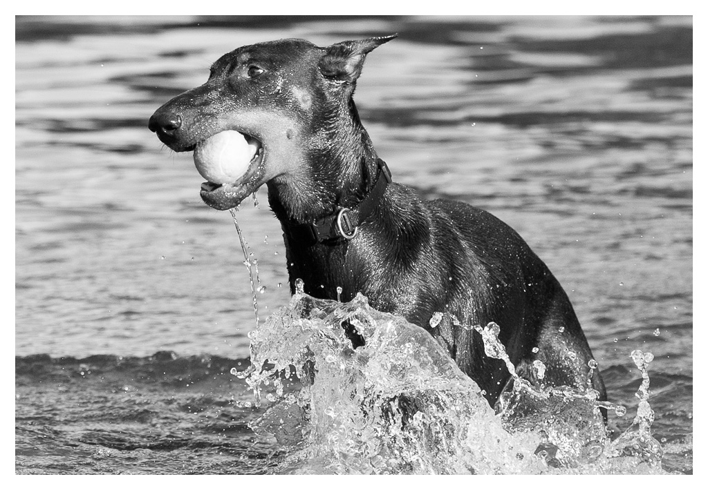 wasserspiele 2