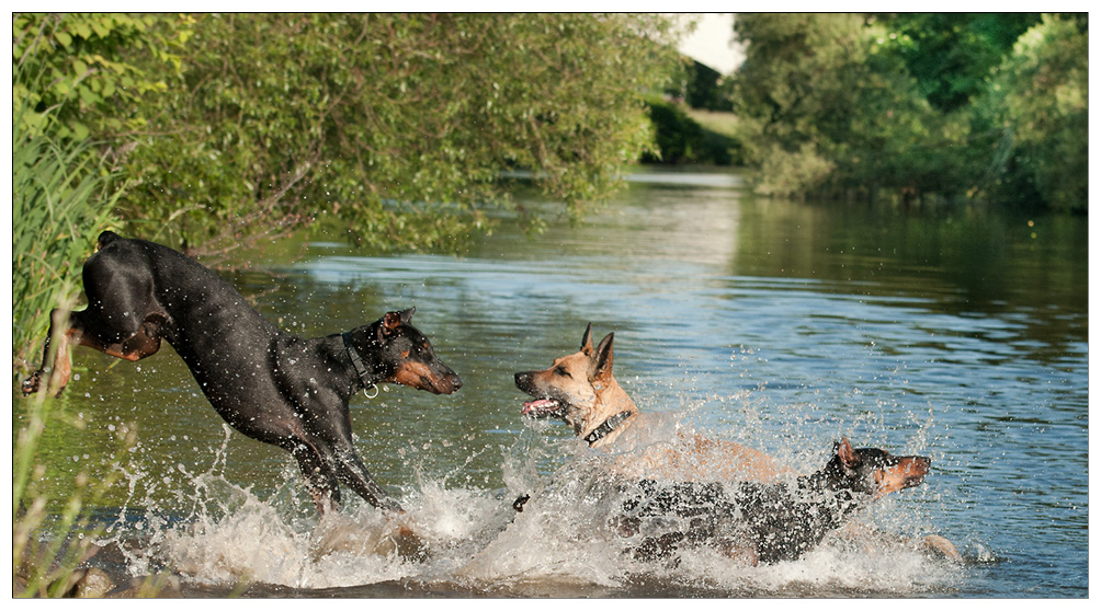 Wasserspiele