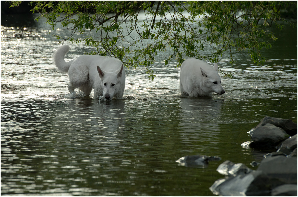 wasserspiele