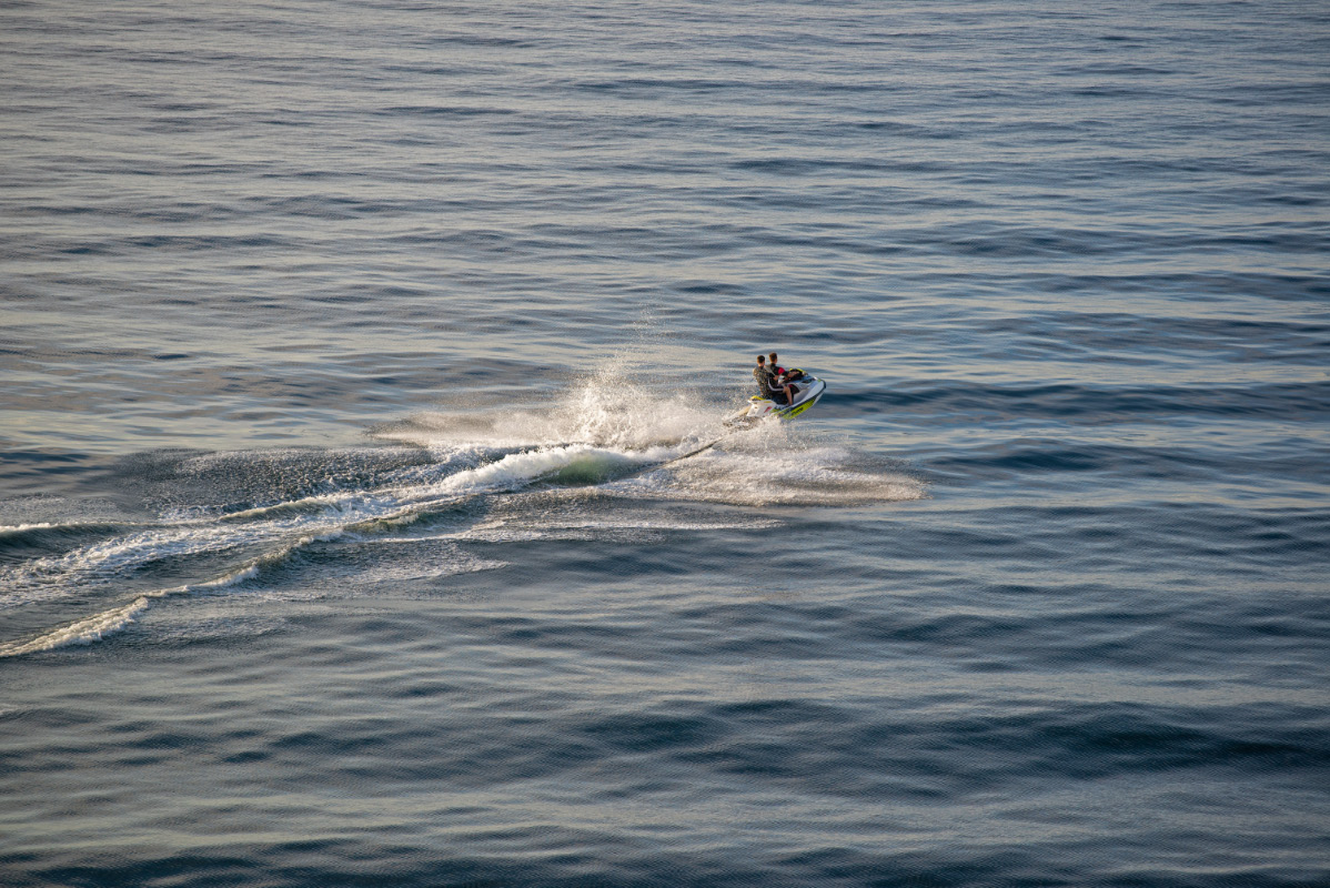 Wasserspringer.jpg
