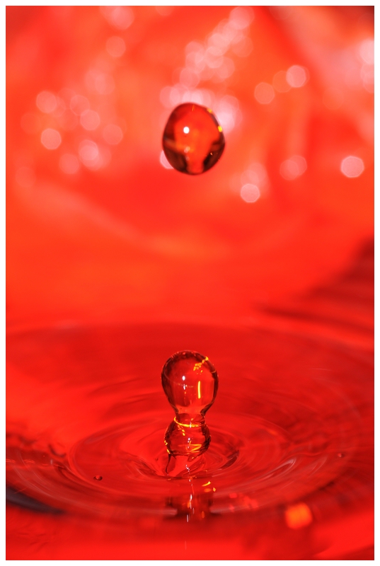 Wassertropfen auf Holopapier und rotem Krepp