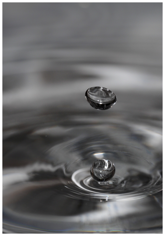 Wassertropfen in Schale, kein SW