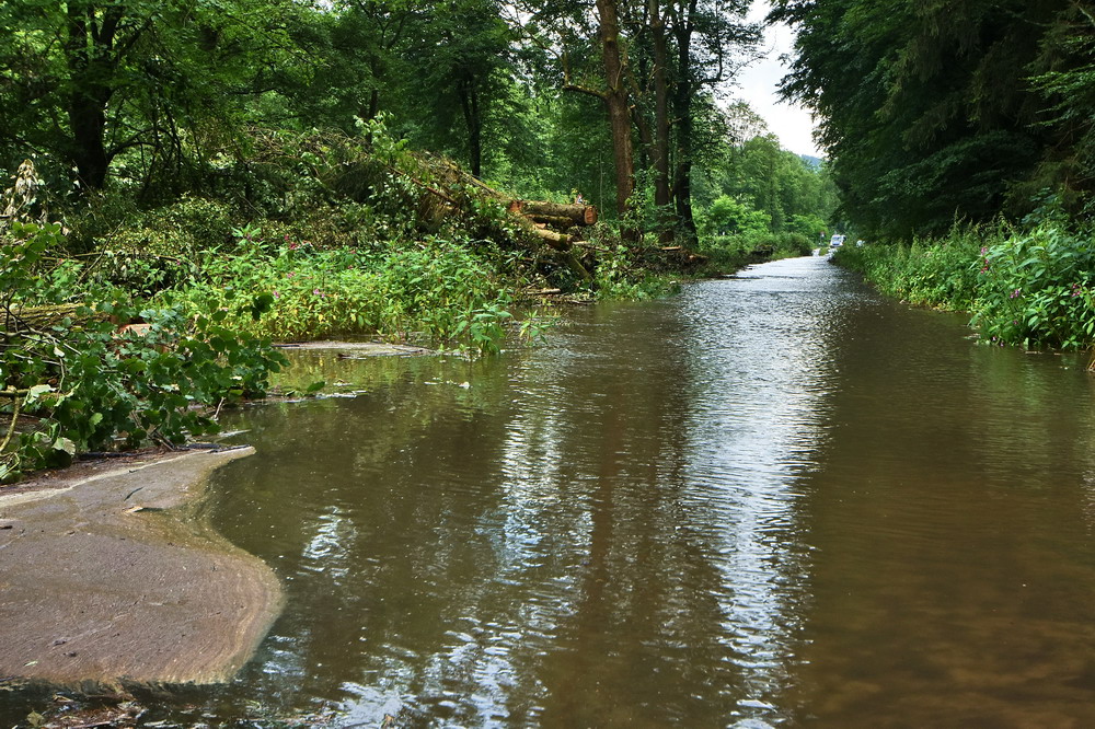 Wasserweg