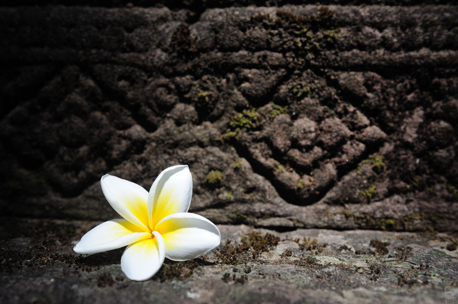 Wat Phou