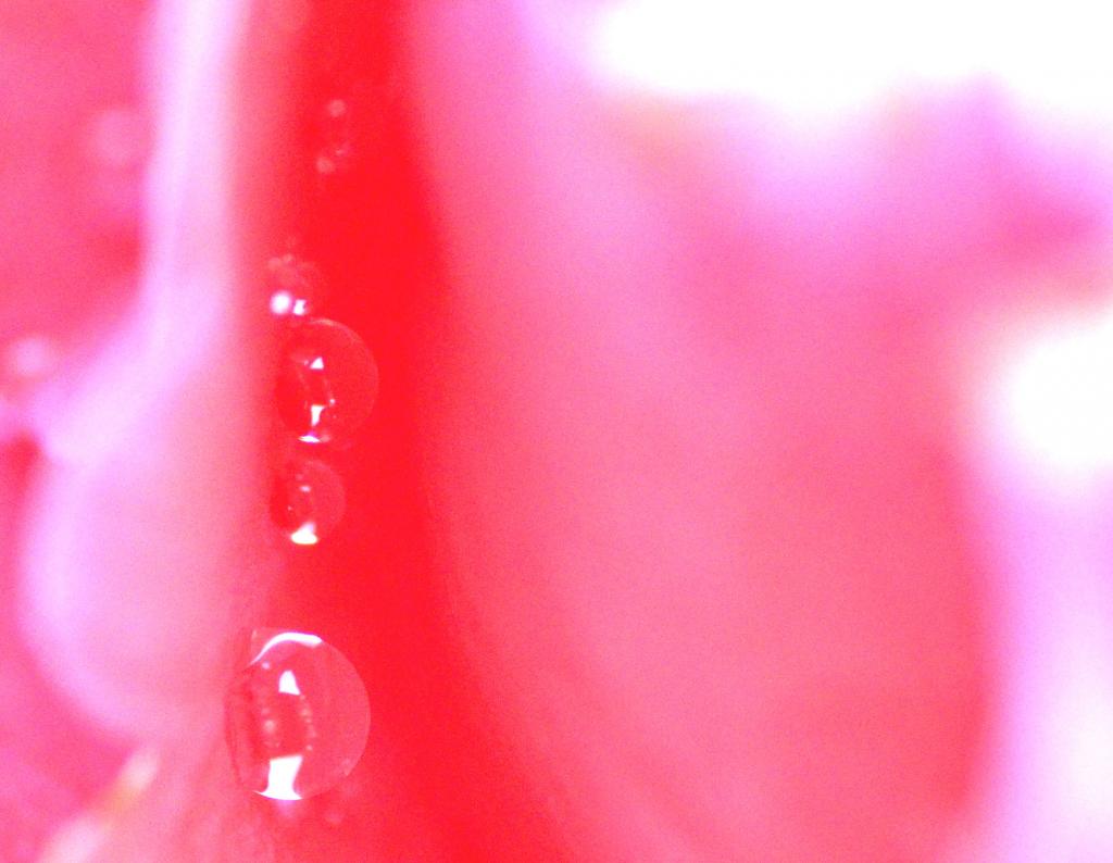 waterdrops