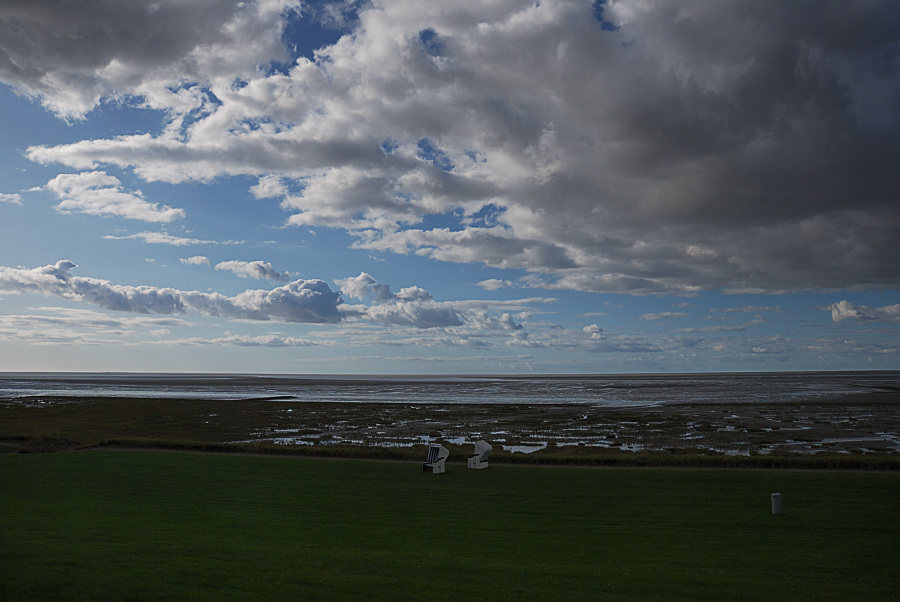 wattenmeer4