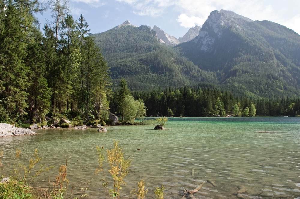web Berchtesgadener Land 20080906   5963
