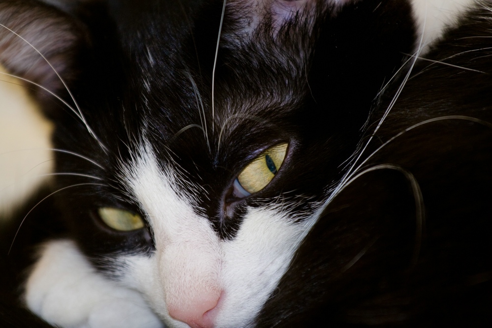 web IMG 2659