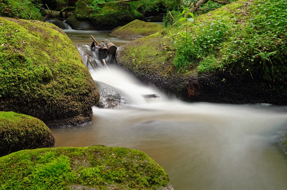 web Otterbachtal 100529 5235 2