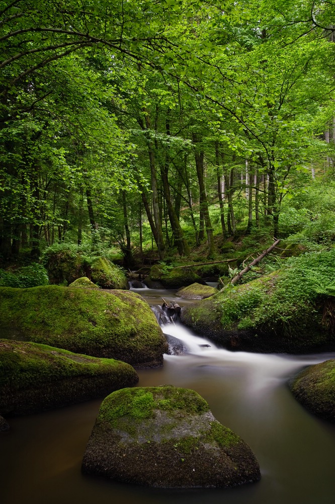 web Otterbachtal 100529 5278