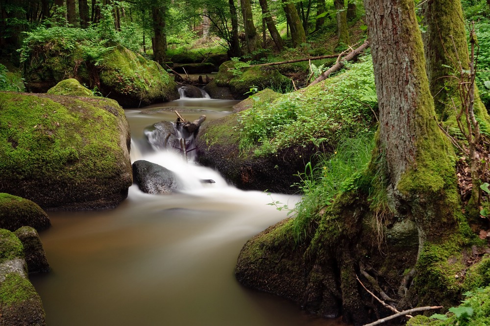 web Otterbachtal 100529 5290