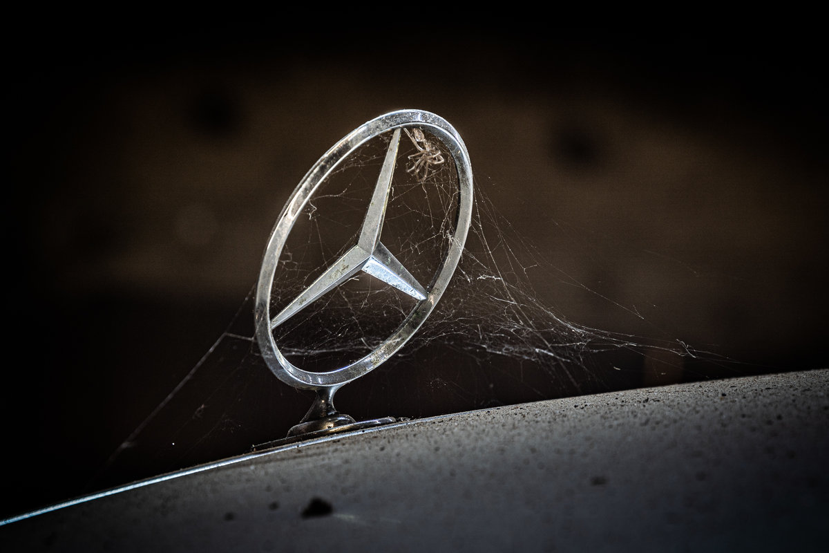 Web Star