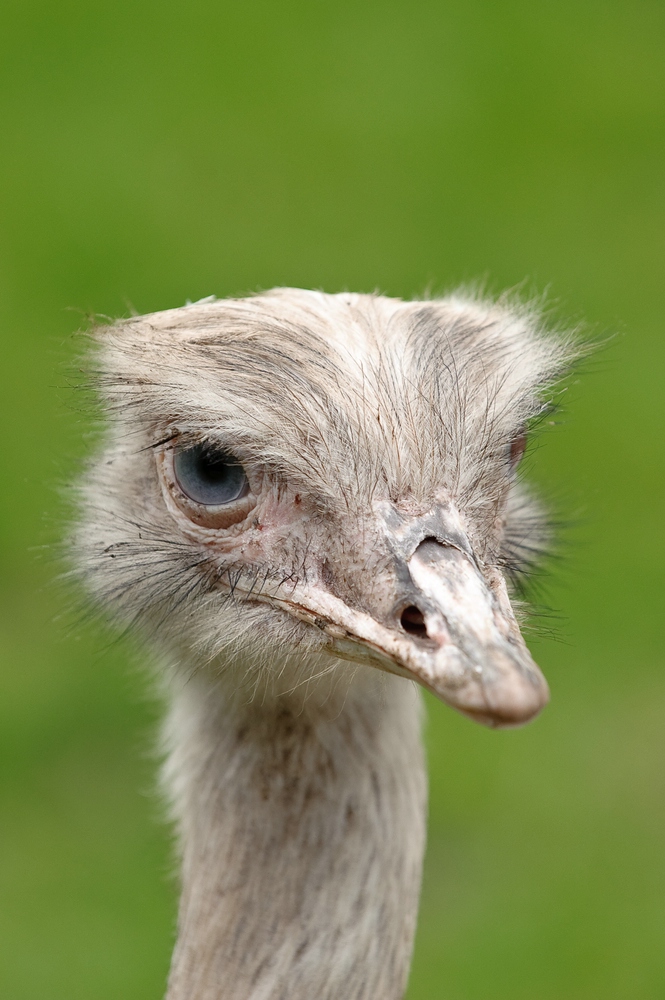 web Vogelpark Abendsberg 100516 4405