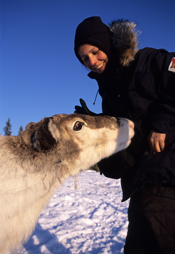 Web900Winterscan2009Joe200