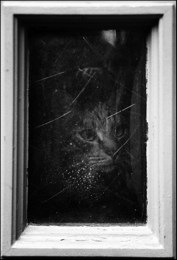WebTmax400Dezember2012 020