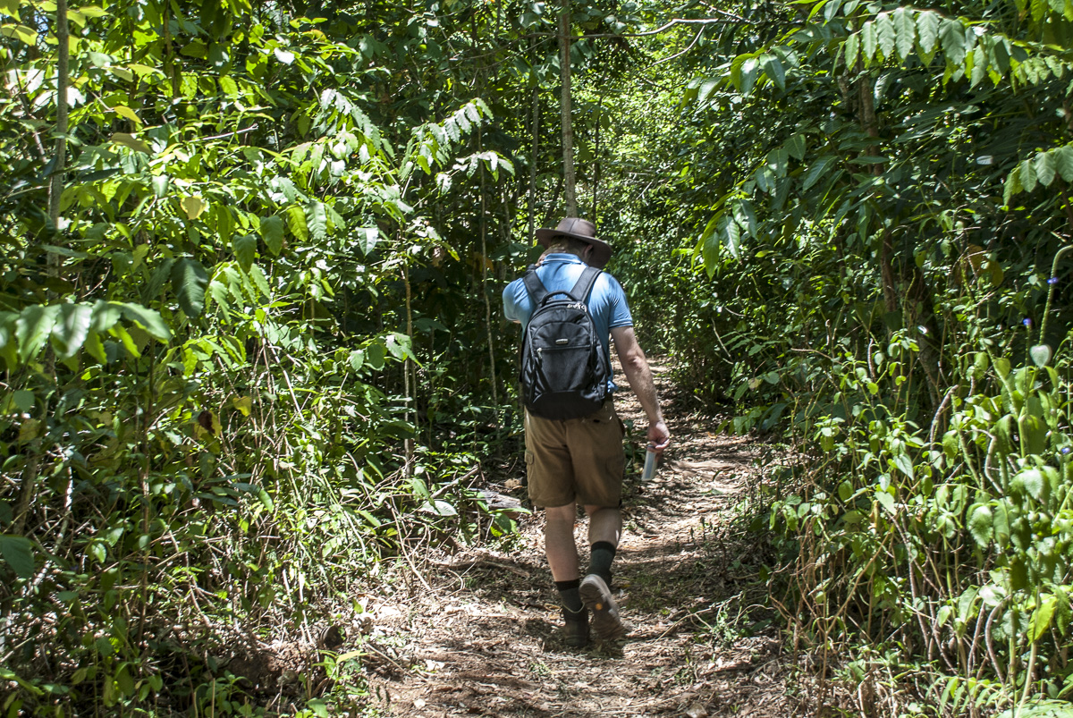 Weg Dunk Island.jpg
