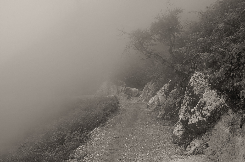 Weg im Nebel