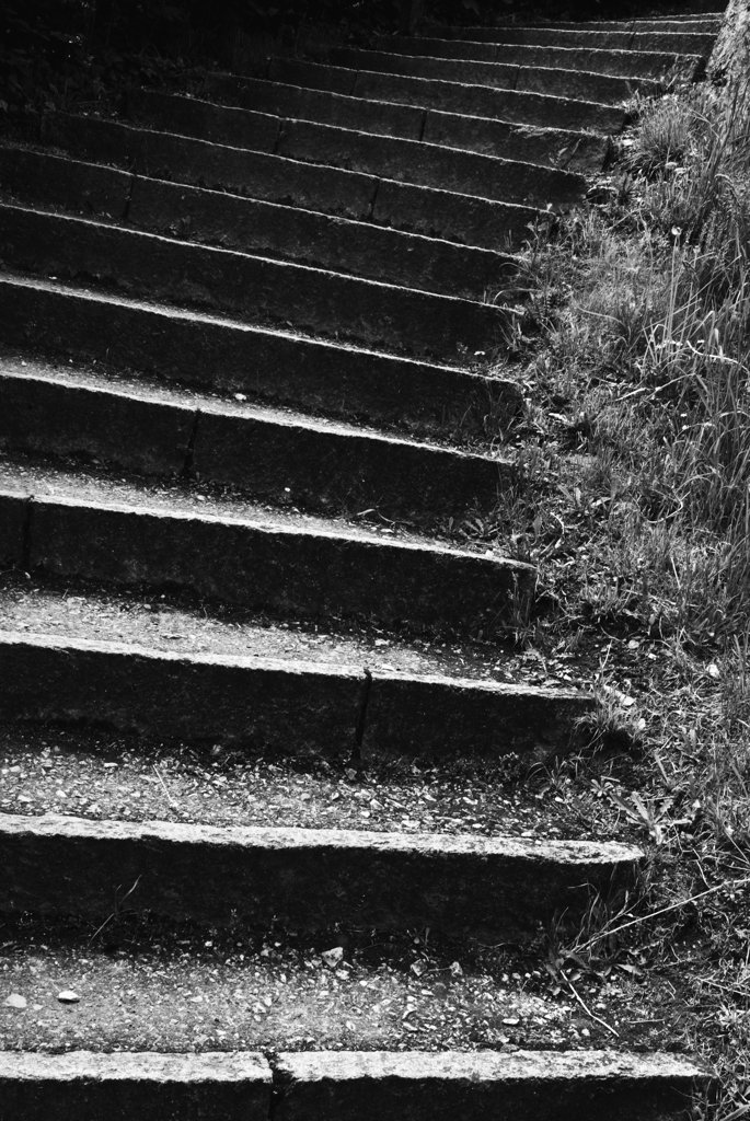 Weg nach oben
DSC 7708 Kopie web
http://www.nikon-fotografie.de/vbulletin/showpost.php?p=1311108&amp;postcount=6493
