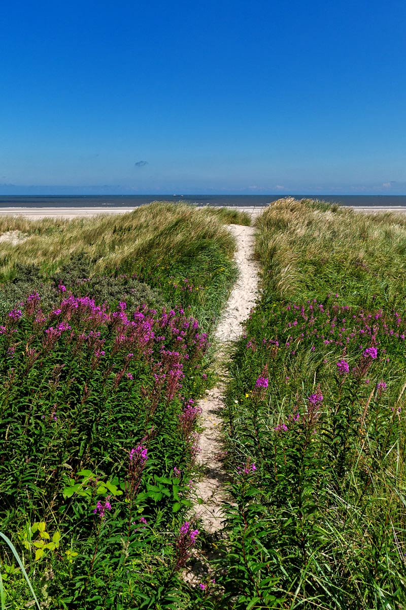 Weg Wangerooge