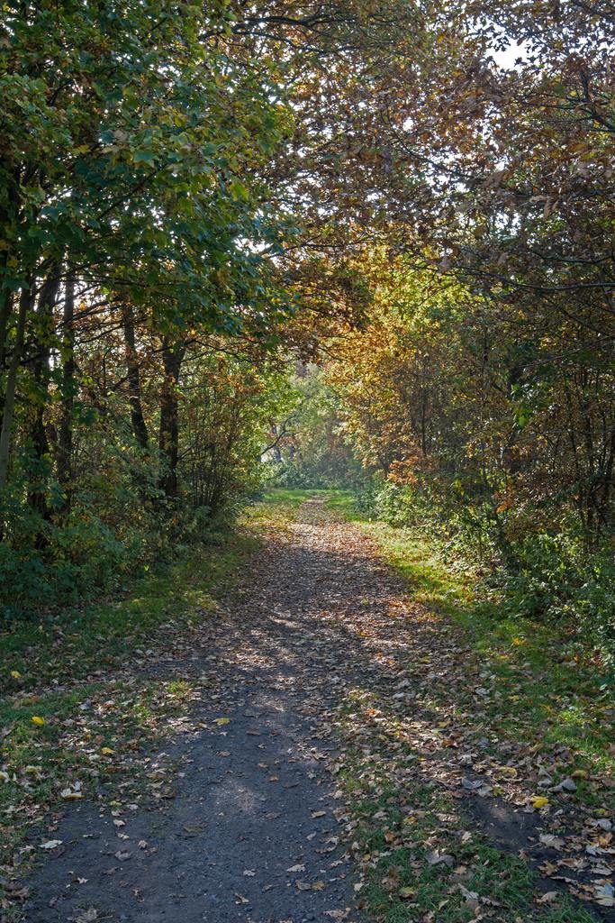 Weg zur Sonne