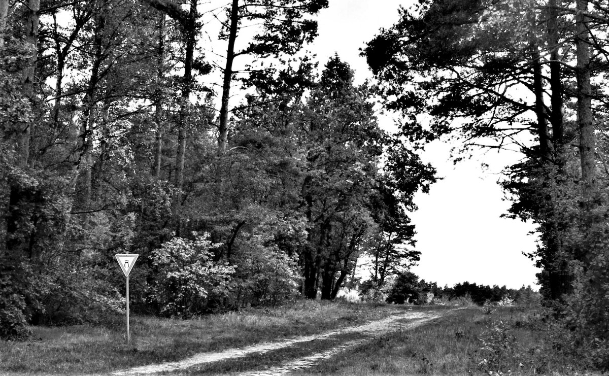Wege in die Heide.jpg