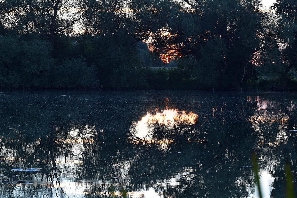 Weiher 3
