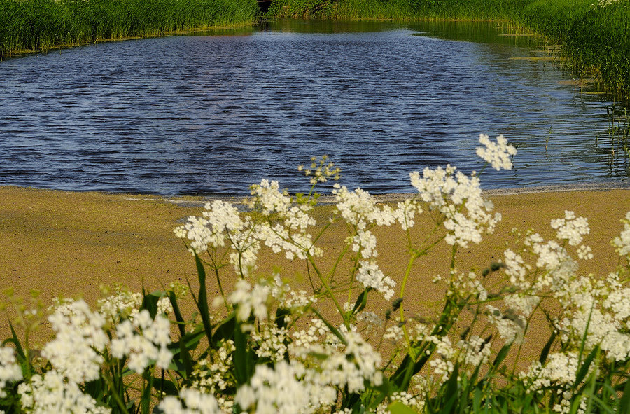 Weiher