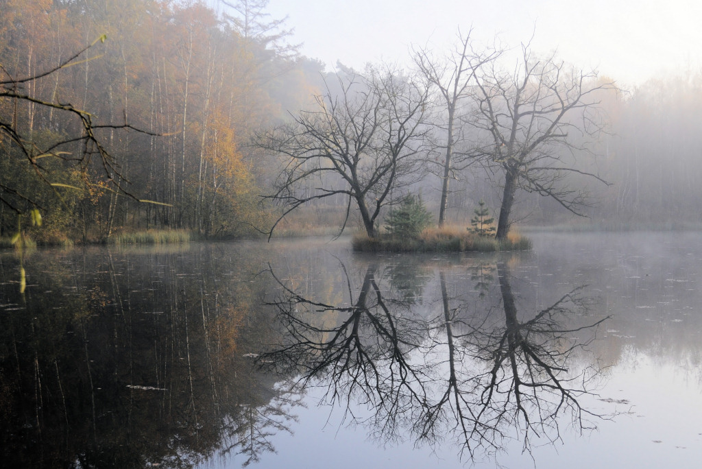 Weiher