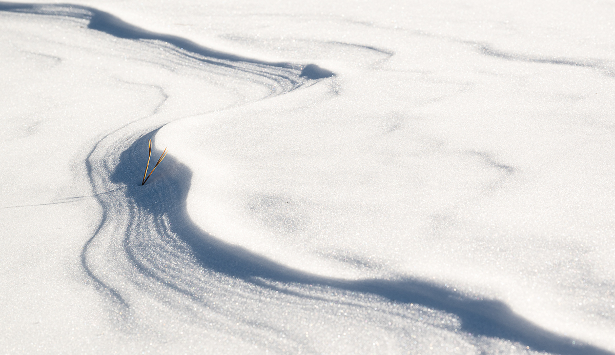 Weihnachten- Neujahr-Hochfilzen-Mustair-5182.jpg