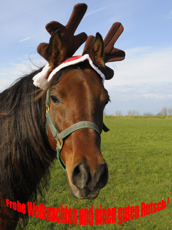 Weihnachtsagi2
