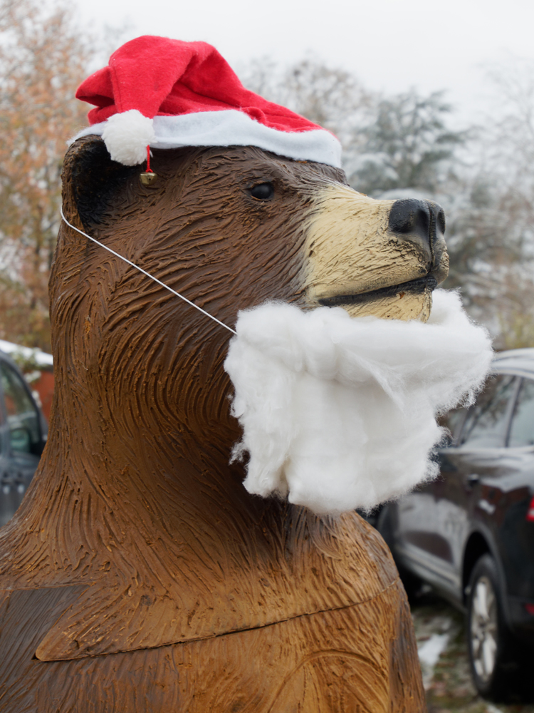 Weihnachtsbär.jpg