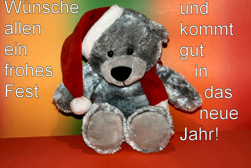 Weihnachtsbaer