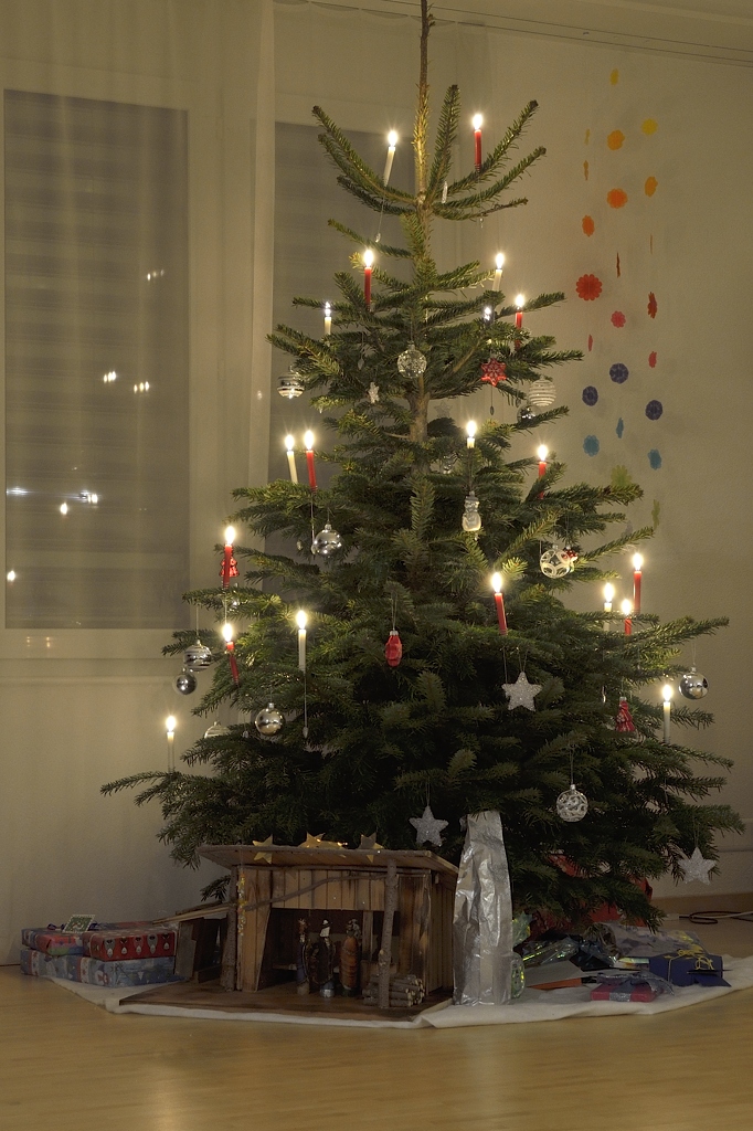 Weihnachtsbaum 2012