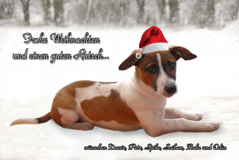 Weihnachtskarte
