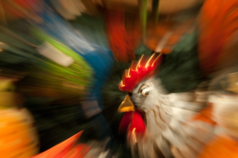Weihnachtsmarkt, Zoomie